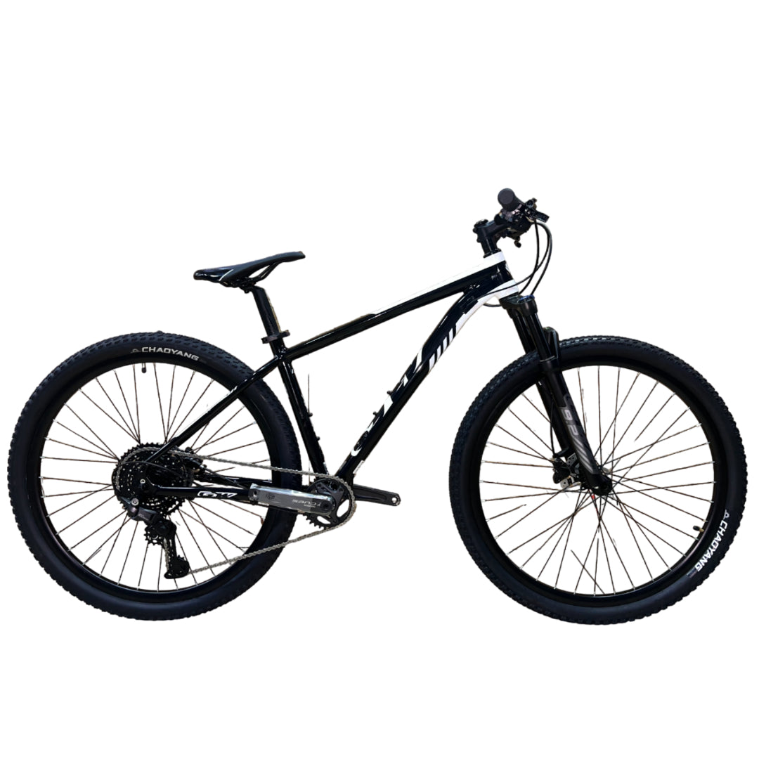 Bicicleta GW Hawk - Rin 29